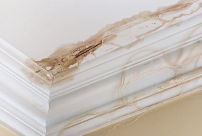 Repair the Leak to Avoid Additional Damage!